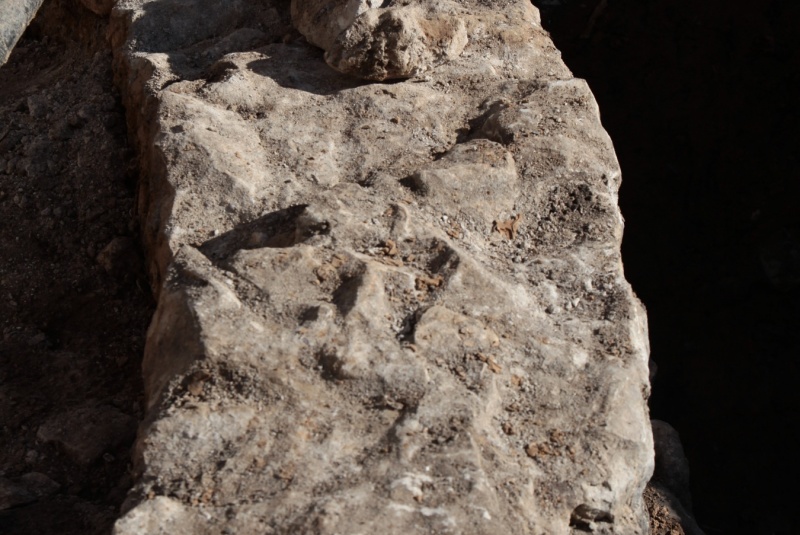 Novinky / Vzácna kaplnka aj nálezy z praveku: Pri Ružičkovom dome našli významné archeologické objavy - foto