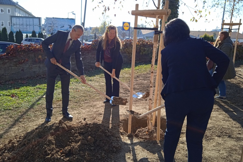 Novinky / Knižka Parky v Žiline, ktorej vznik sme podporili, je na svete - foto