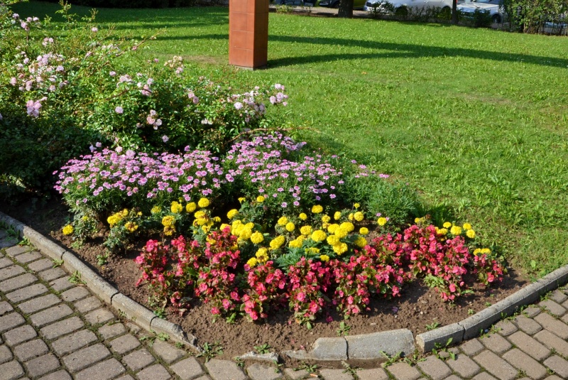 Novinky / Potulky Petra Štanského po žilinských parkoch - foto